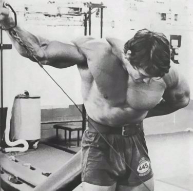arnold schwarzenegger workout pictures. In my training studio in